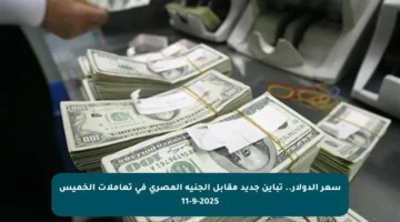 سعر الدولار.. تباين جديد مقابل الجنيه المصري في تعاملات الخميس 11-9-2025